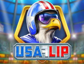 USA Flip